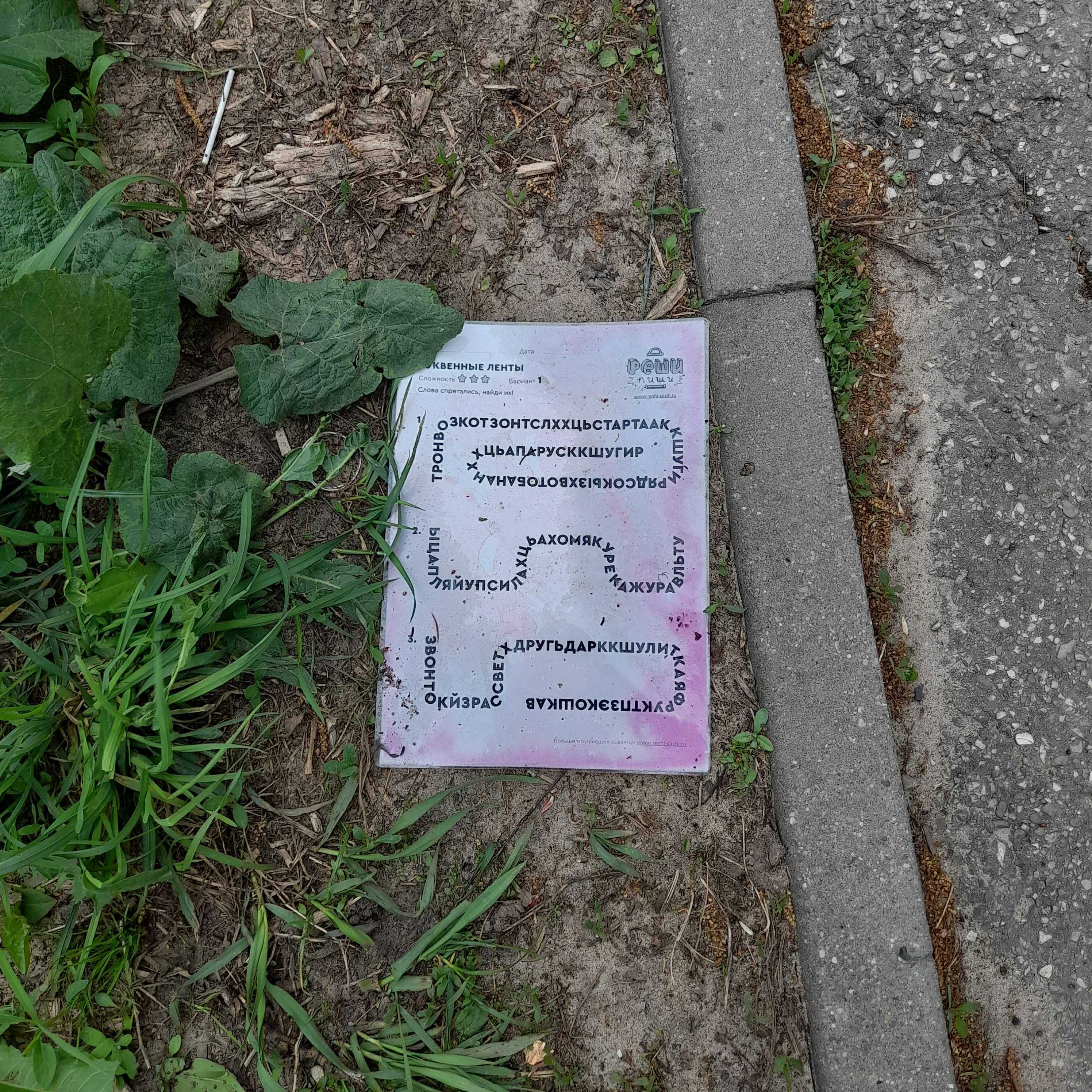 txt centipede